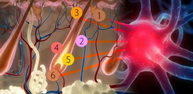 Prostaglandina PGD2